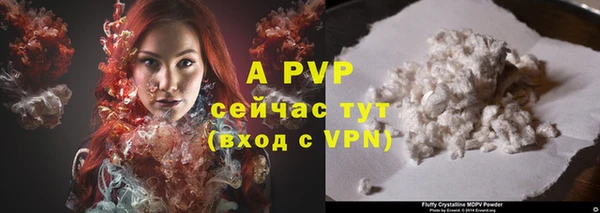 apvp Вяземский