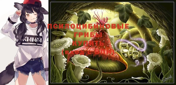 спиды Волоколамск