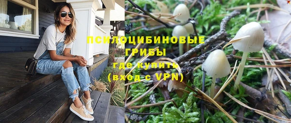 спиды Волоколамск