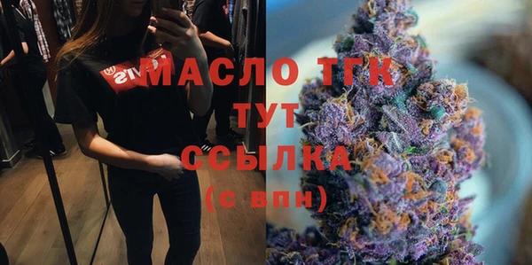 apvp Вяземский