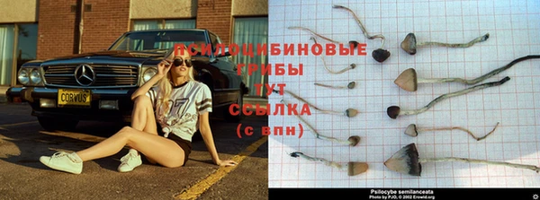 спиды Волоколамск