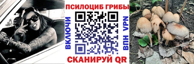 ОМГ ОМГ зеркало Новошахтинск Галлюциногенные грибы Cubensis